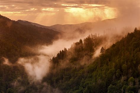 North Carolina Nature Photography Of Tim Barnwell The Laurel Of Asheville