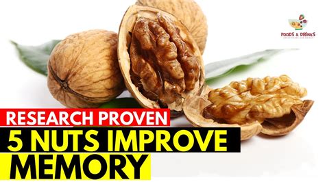 The Truth About 5 Healthy Nuts Improve Memory And Concentration Youtube