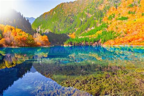 Five Flower Lake At Autumn Sunrise Time Jiuzhaigou Nature Reserve