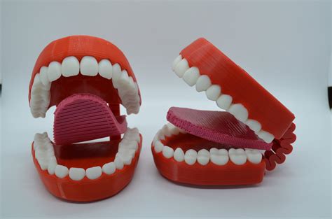 Toys Toys And Games Speech Language Pathology Mouth Model Pe