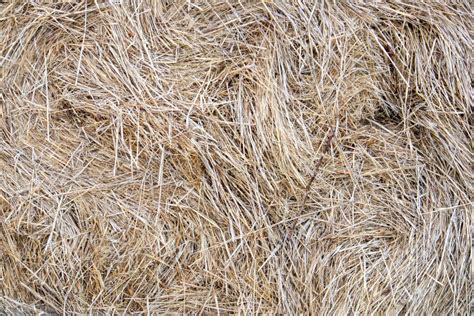 Dry Straw Texture Large Hay Stack After Harvest Season Close Up Stock