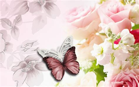 Download Flowers And Butterflies Wallpaper Digital Art By