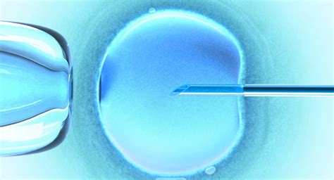 Fertility Treatment In Vitro Fertilization IVF BabyCenter