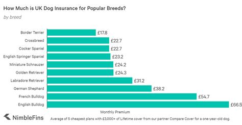 Average Cost of Pet Insurance UK 2020 | NimbleFins