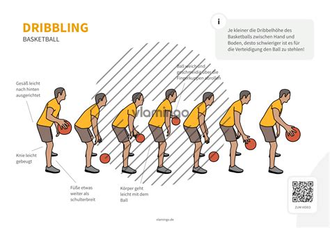Dribbling Dribbeln Basketball Bewegungsbeschreibung And Technik