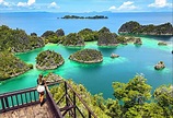 【旅遊】潛往「世界的盡頭」─印尼‧四王群島 - 自由娛樂