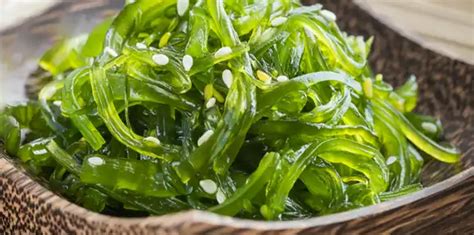 Seaweed: Facts, Nutrition, Benefits, Risks & More - HealthNormal