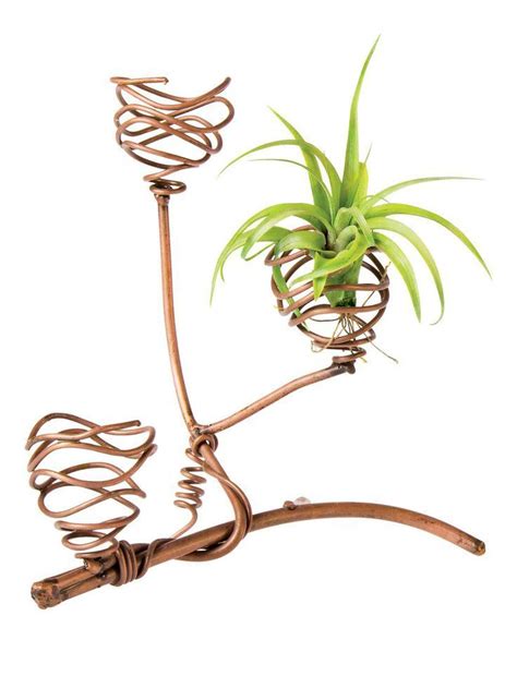 Image Result For How To Make A Copper Air Plant Holder Air Plant Art