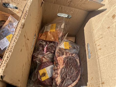 Liz Lewin (@LizLewinTV) / Twitter