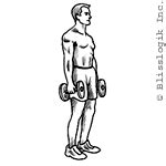 Pictures of Dumbbell Back Workout Exercises