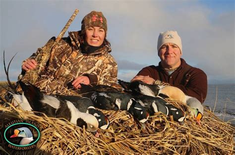 Why Hunt With The Best Aleutian Island Waterfowlers Alaska Duck