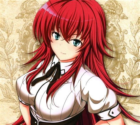 Rias Gremory Anime Amino