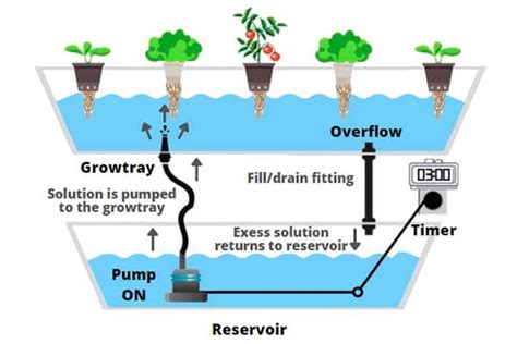 What Is Ebb And Flow Flood And Drain Hydroponic System 🔥actual ★2023