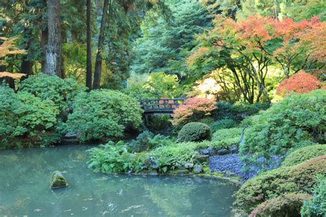 Fall Color Update October 26 2017 Portland Japanese Garden