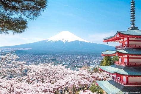 A Travel Guide For Visiting Mount Fuji In Japan Tad