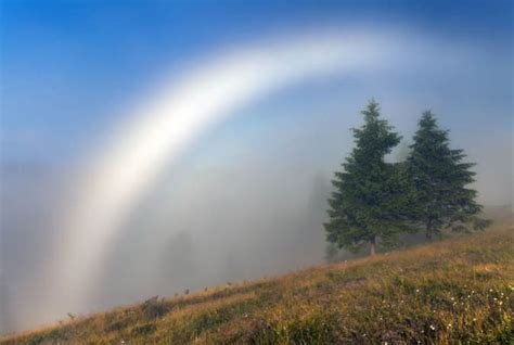 White Rainbow Appears Behind The Fog In The Carpathians Nature News