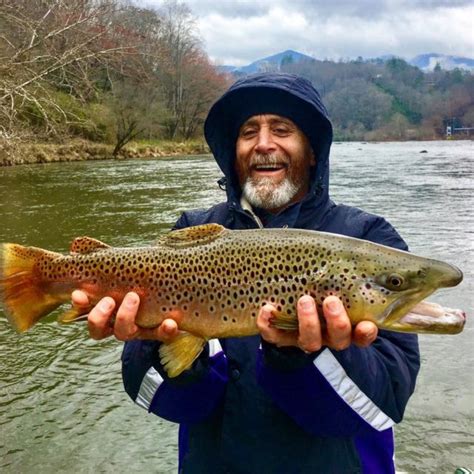 November Fly Fishing Smoky Mountains Trout Fishing In November