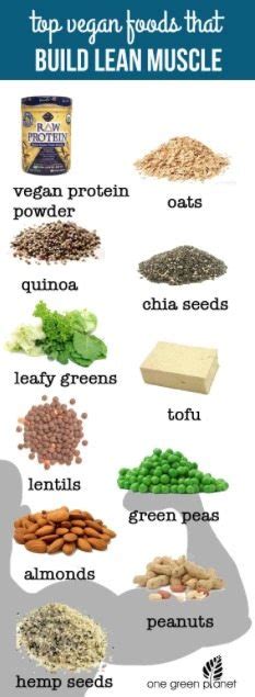 We did not find results for: Vegan Bodybuilding Diet | Alternative Protein and Fats ...