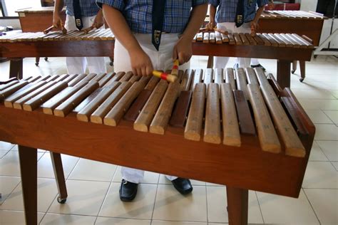 Beberapa alat musik tradisional dari 34 provinsi di indonesia antara lain; Alat Musik Tradisional dan Asal Daerahnya