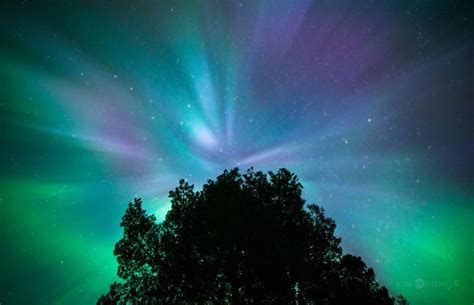 Northern Lights That I Photographed In My Native Finland Bored Panda