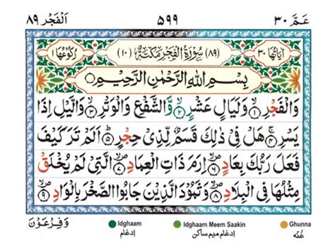 Quran411 Surah Al Fajr