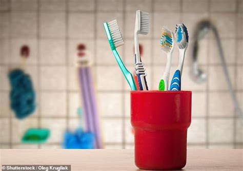 Experts Reveal The Gross Mistakes You Re Making With Your Toothbrush Daily Mail Online