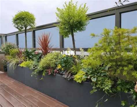 屋顶花园设计中植物如何选择？ 青岛怡乐花园