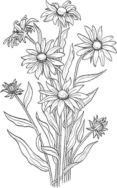 Desenhos De Ramalhete De Flores Para Colorir E Imprimir PDMREA