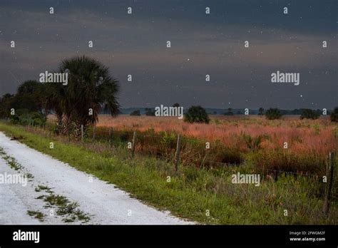 A Beautiful Starry Nature Landscapenightscape Of The Florida Wetlands