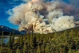 Big Canadian Forest Fires Past to Present – Brandon Pullan REALTOR® at ...
