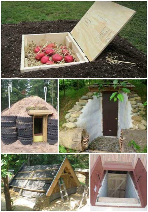 17 Diy Root Cellars For The Homestead Root Cellar Homestead Survival