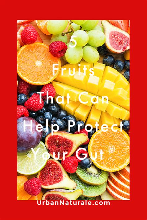 5 Fruits That Can Help Protect Your Gut In 2021 Healthy Digestive