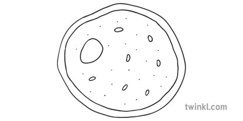 Yeast Drawing Easy Labelled Diagram Of A Yeast Cell H