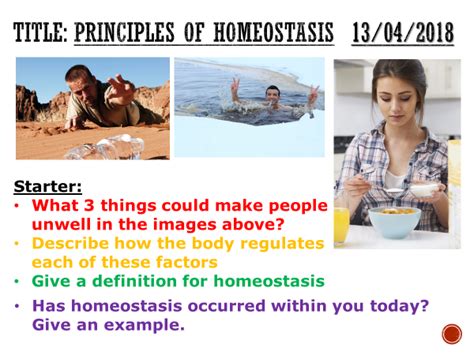 Principles Of Homeostasis Complete Lesson Gcse 1 9 Teaching Resources