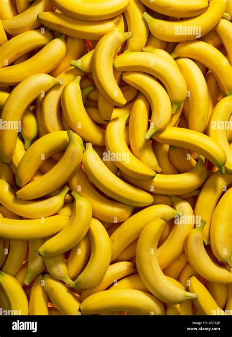 Top 76 Imagen Banana Background Image Vn