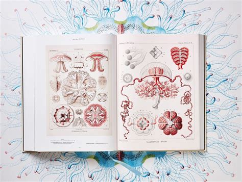 The Art And Science Of Ernst Haeckel A Compendium Of Colorfully