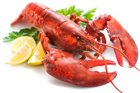 Lobster Transparent PNG PNG Mart