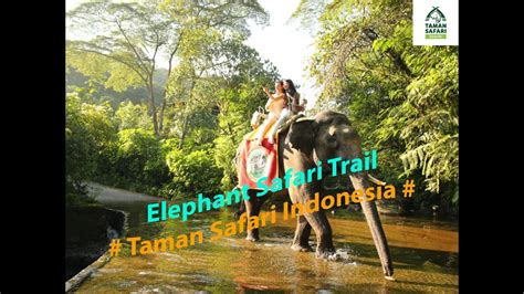 Elephant Safari Trail Taman Safari Indonesia Bogor Youtube