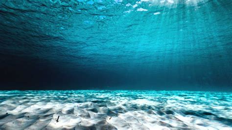 Clear Concept Underwater Ocean Floor Perspectives Shutterstock
