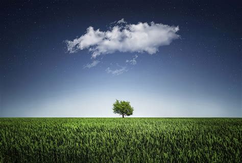 Free Images Landscape Tree Water Nature Outdoor Horizon Cloud
