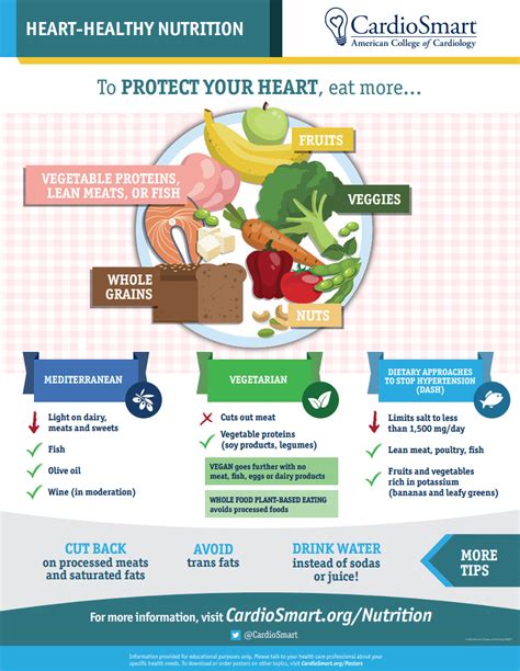 Food Infographic Everything You Need To Know Edraw