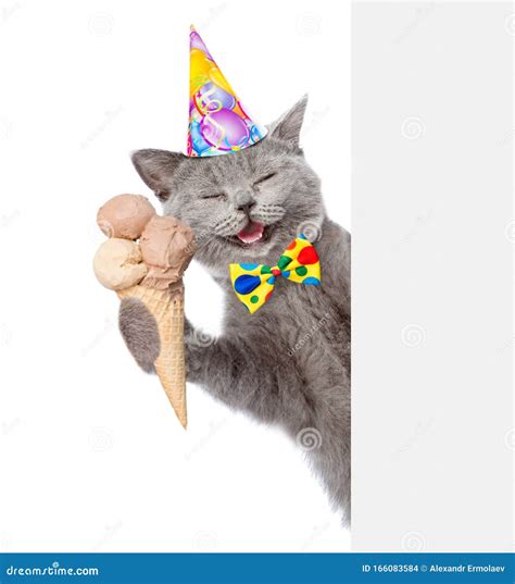 Happy Cat In Birthday Hat With Ice Cream Peeking From Behind Empty