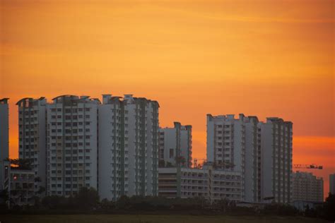 Sengkang In Pictures The Secret Life Of The North East