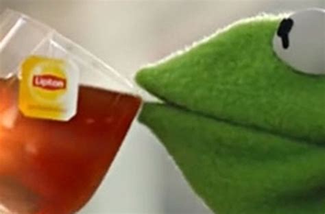 Kermit Tea Closeup Blank Template Imgflip