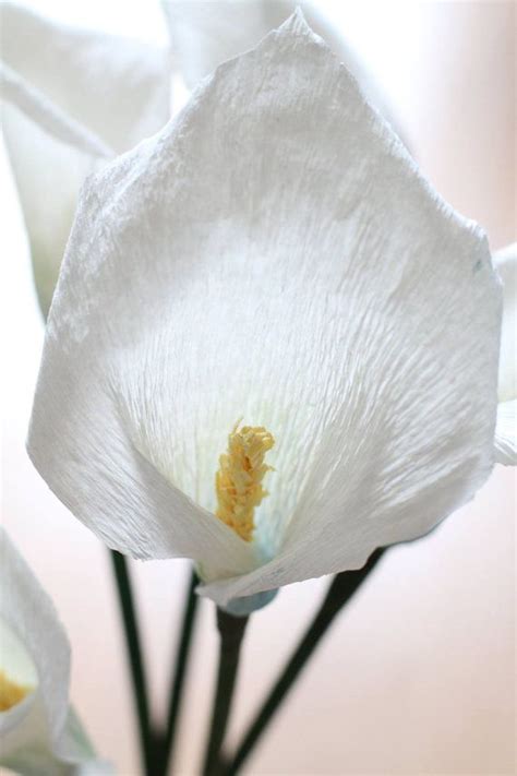 This Listing Is For 6 Handcrafted Calla Lily Made From Crepe Paper The