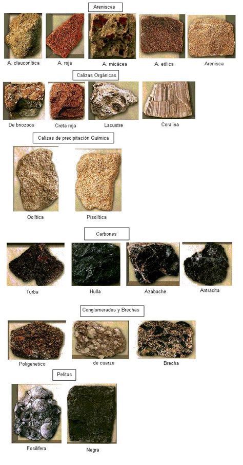 Ciencia Naturales Tipos De Rocas Gambaran