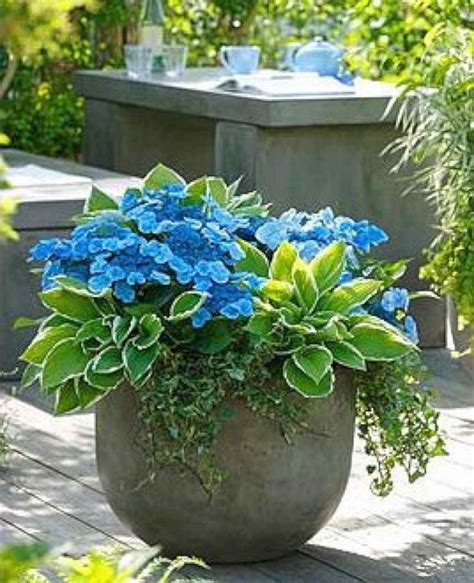 15 Stunning Container Garden Planting Design Ideas