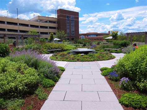 Shady Grove Adventist Hospital Rooftop Garden Through The Garden