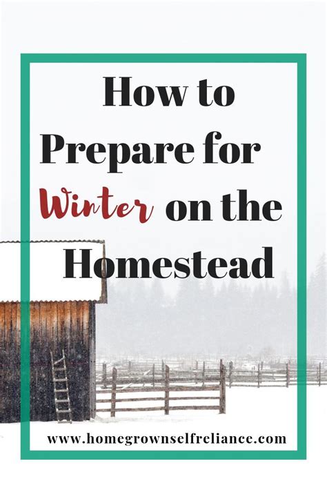How To Prepare For Winter On The Homestead Read Here To Find Out What