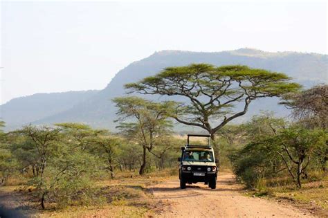 Serengeti Tour Packages Affordable Serengeti Safari 3